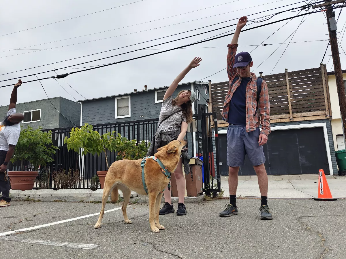 Hsi Fang Temple Fur Baby Walking and Blessing Ceremony: Connecting the Community of University Heights